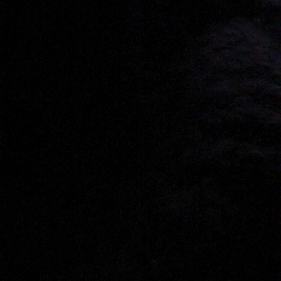 Meet your Posher, Robbie - Picture 1 of 1